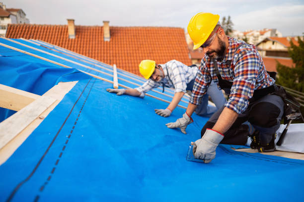 Roof Gutter Cleaning in Lebanon, OH